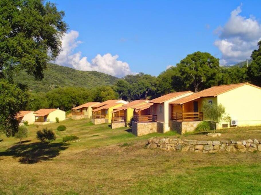 Maison Au Calme Avec Piscine Et Climatisation Sollacaro Экстерьер фото