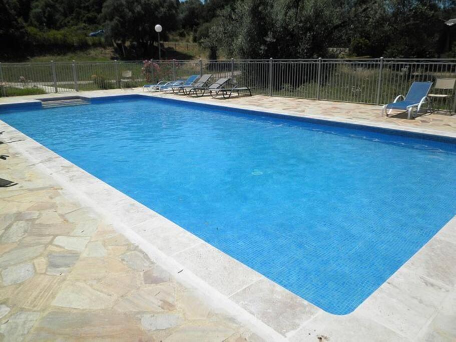 Maison Au Calme Avec Piscine Et Climatisation Sollacaro Экстерьер фото